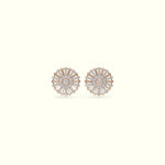 Load image into Gallery viewer, Sunray Earring